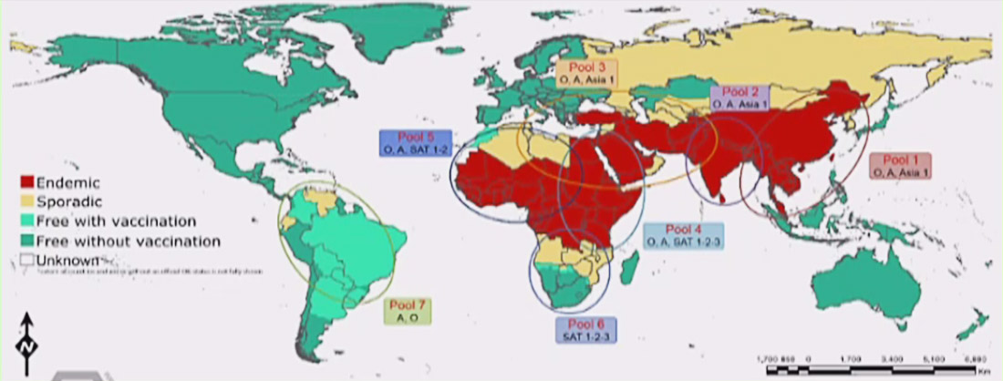 1597655936787051.jpg 3-2.jpg